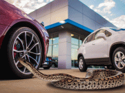 Wow, Ular Dibawa Test Drive Mobil
