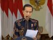 Jokowi dan Luhut Telepon Elon Musk, Ajak Tesla Investasi di Indonesia