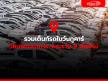 รวมเต็นท์รถในวันทูคาร์ โซนพัฒนาการ-พระราม 9 ตัดใหม่